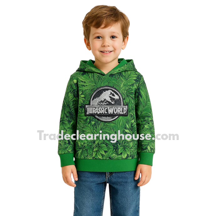 Boys Character Jurassic Hoodie wholesale parcel