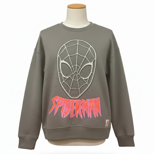Wholesale bundle of Boys Character sweatshirt with a rubberised design