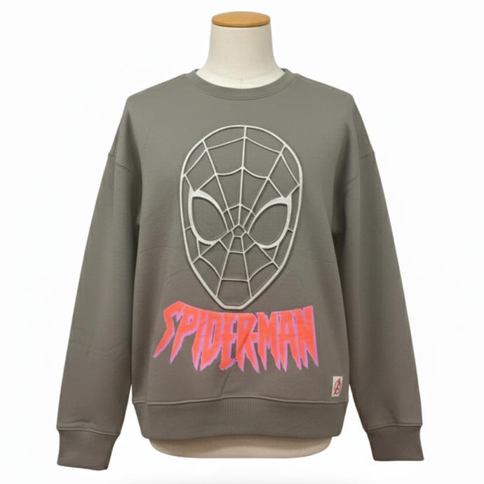 Wholesale bundle of Boys Character sweatshirt with a rubberised design