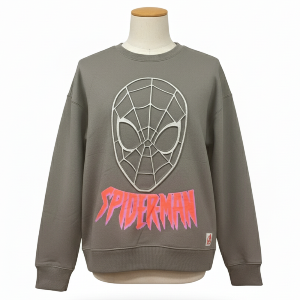 Wholesale bundle of Boys Character sweatshirt with a rubberised design