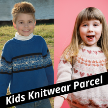 Load image into Gallery viewer, Wholesale Ex chainstore assorted kids jumper clearance parcel
